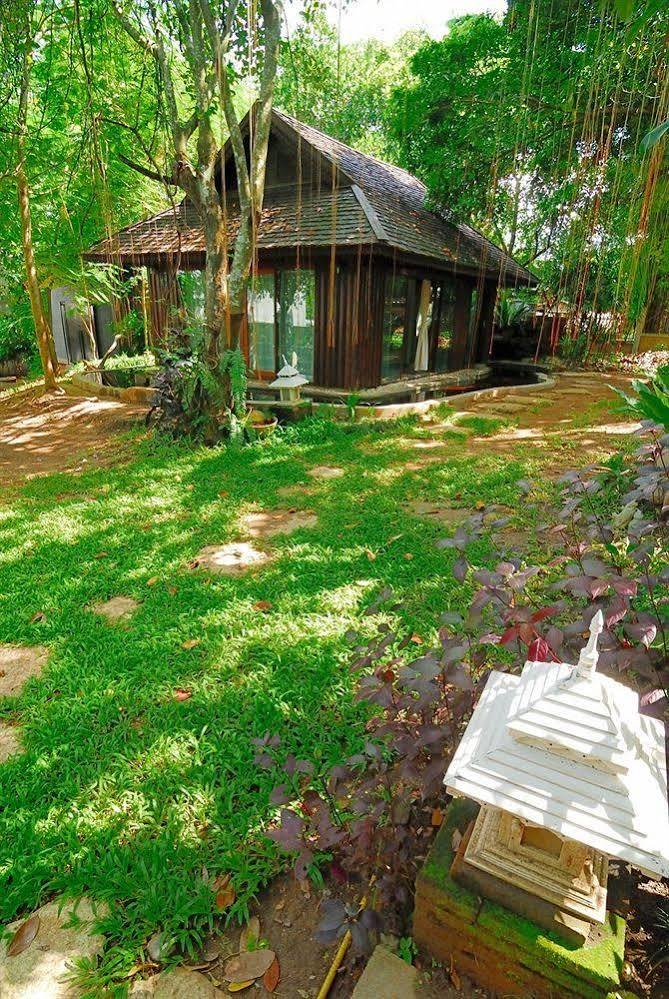 Viva Chiang Mai Nature Home Stay Exterior foto